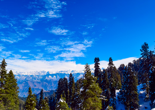 traveldilse-Vibrant Himachal